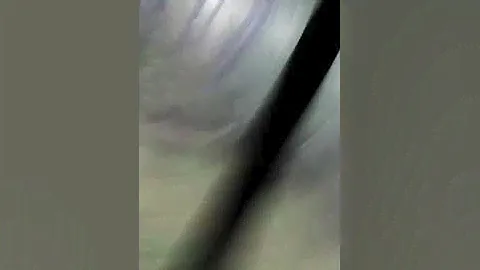 Рыжка делает запасы или попробуй догони