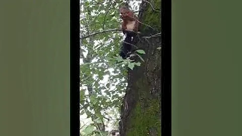Белочка Рыжка делает запасы