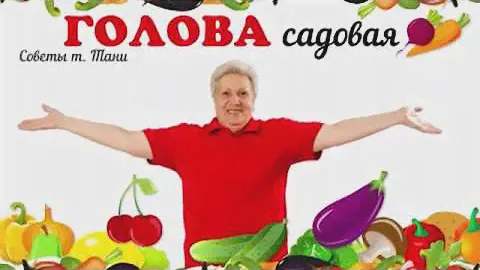 Голова садовая - Чем сейчас подкормить ОГУРЦЫ