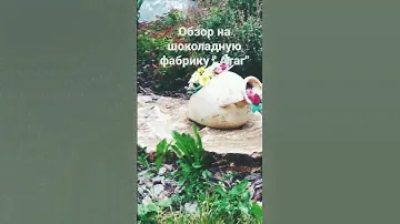 шоколадная фабрика "Атаг"