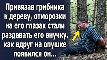 Отморозки на его глазах стали совершать плохой поступок, как на опушке появился он…