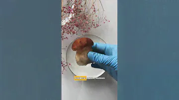 Гибкие фигурки, а вкус как из детства🤤 читайте комментарии👇🏻 #рецепты #кондитерскиекурсы