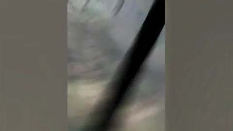 Белочка Рыжка прячет орехи ( часть первая)